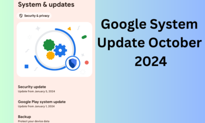 Google System Update October 2024